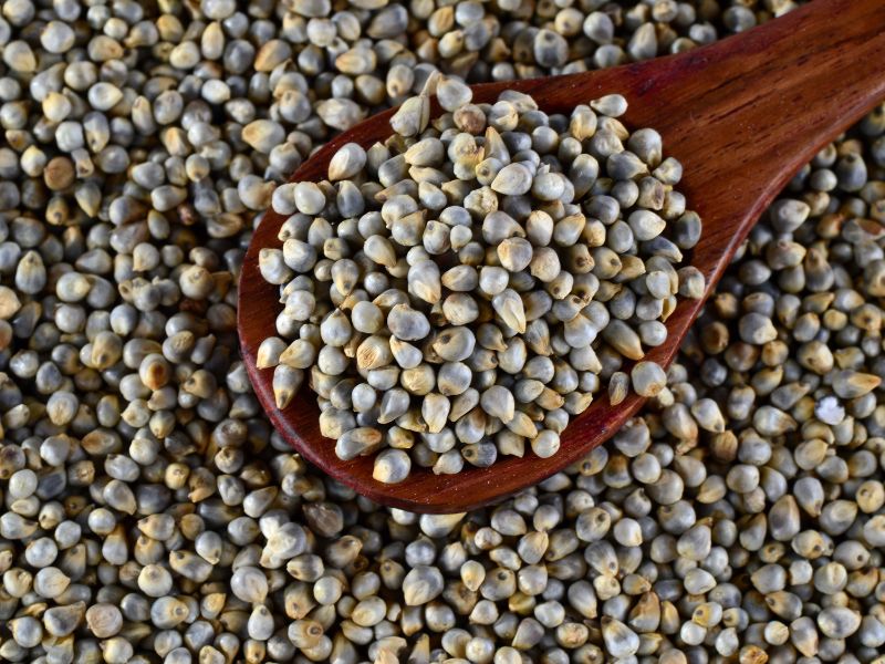 Which Millet is Good for Weight Loss