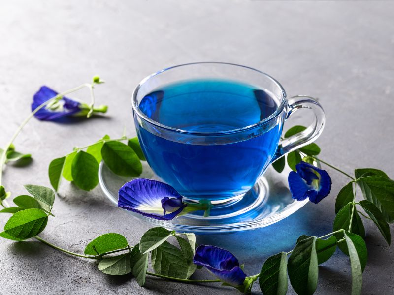 Blue Tea for Weight Loss